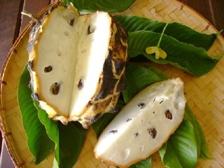 Biriba (Rollina deliciosa) Annonaceae - Large Rollina grown by Noel Ramos