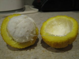 Charichuela (Garcinia madruno) Clusiaceae