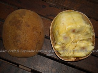 Cupuassu (Theobroma grandiflorum)