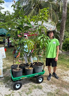 Plant carrier Nicholas